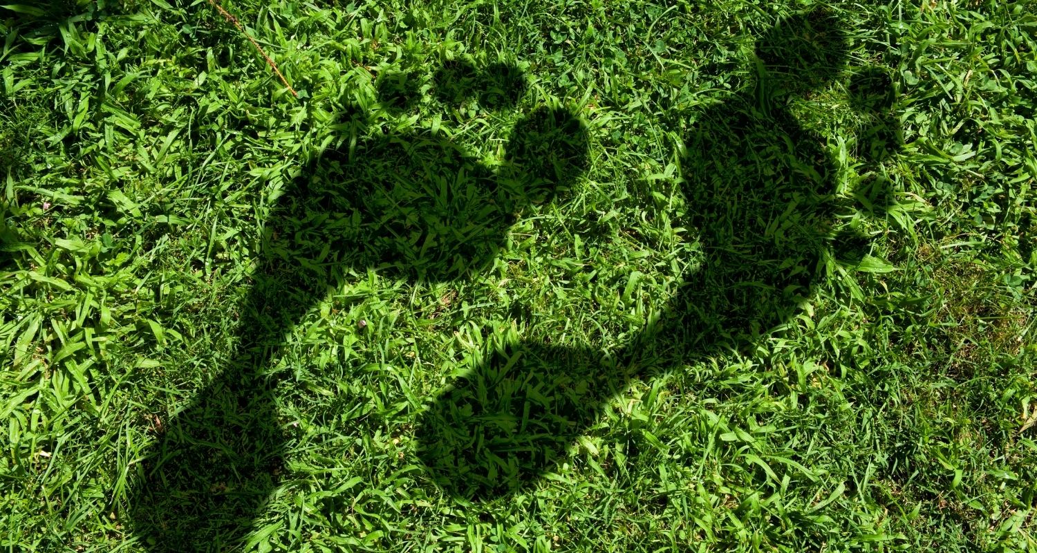 Foot shadow on the grass