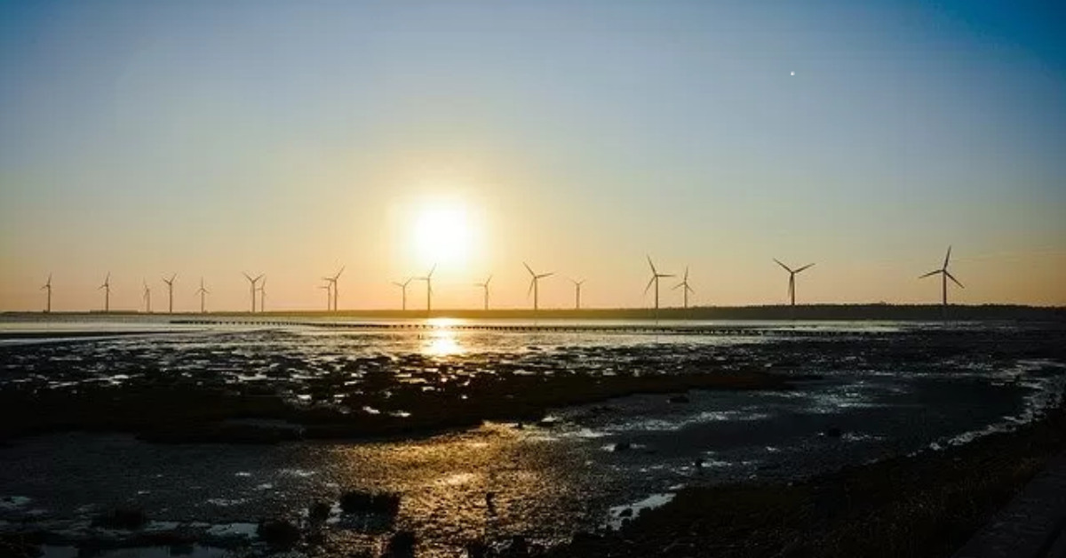 IMAS Foundation invests $175m in the Qblue Global Sustainable Leaders Fund